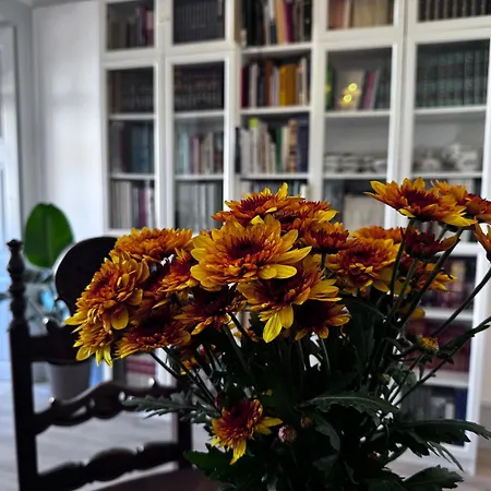 Santiago De Boutique & *